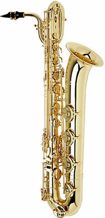 good saxophone on rent tamil-nadu